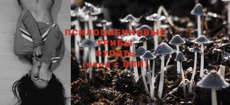 Галлюциногенные грибы Magic Shrooms  Минусинск 